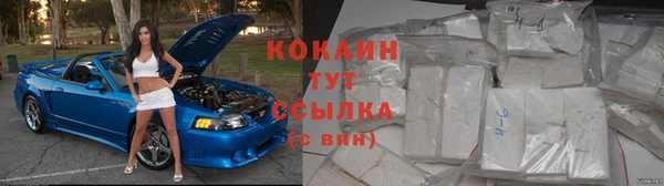 мет Бородино