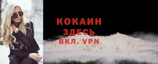 мет Бородино