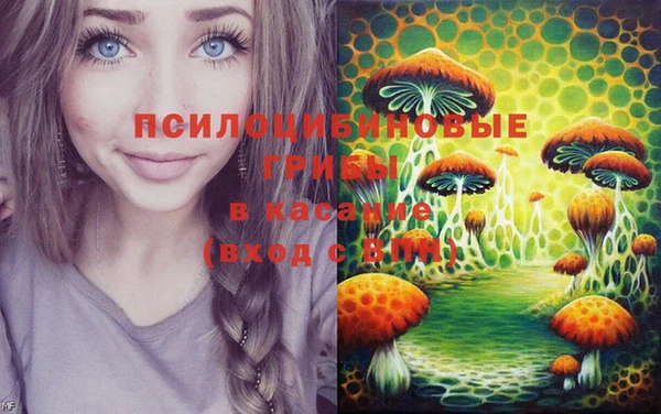 гидропоника Бронницы