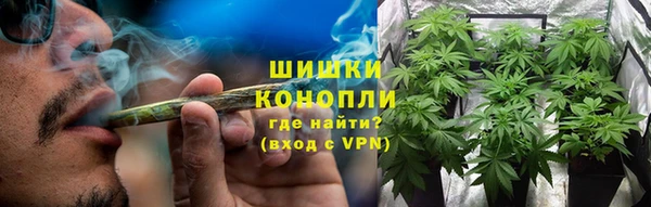 мет Бородино
