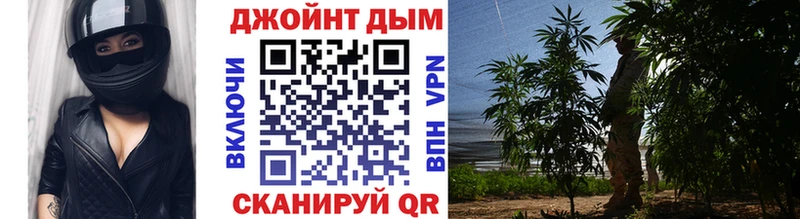 Бошки Шишки план  Хилок 